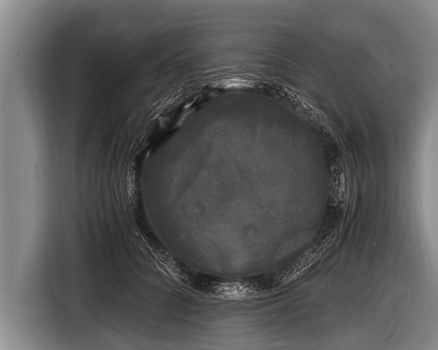 X0000116800704200912241201