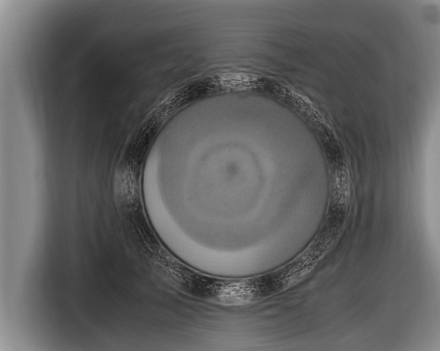 X0000116800705200912241201