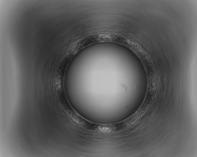 X0000116800706200912241201