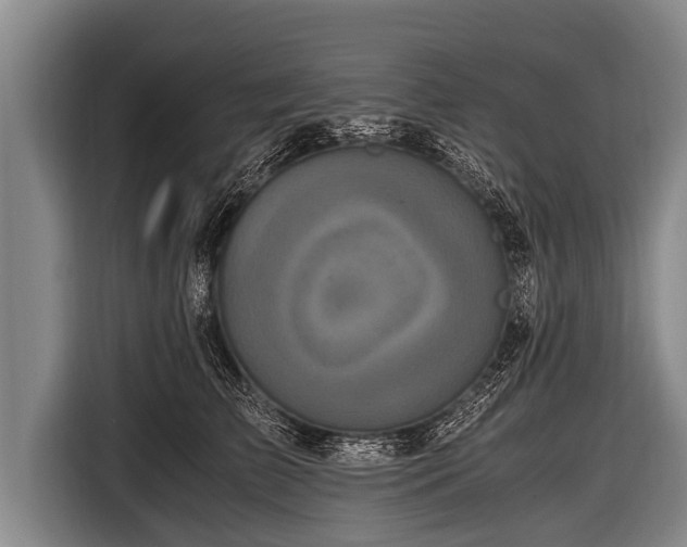 X0000116800709200912241201