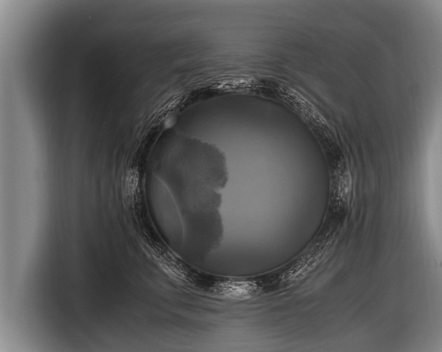 X0000116800711200912241201