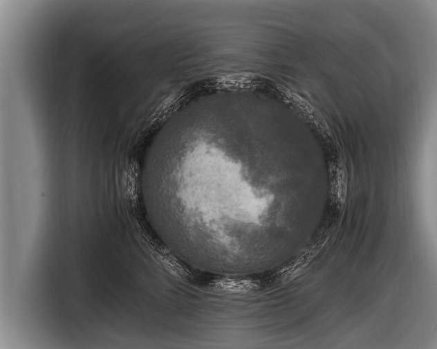 X0000116800712200912241201