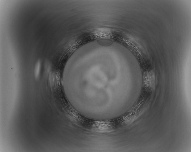 X0000116800713200912241201