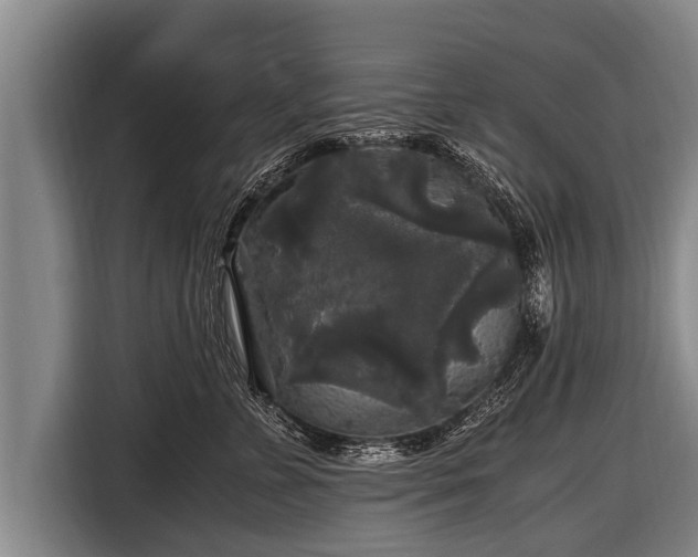 X0000116800715200912241201