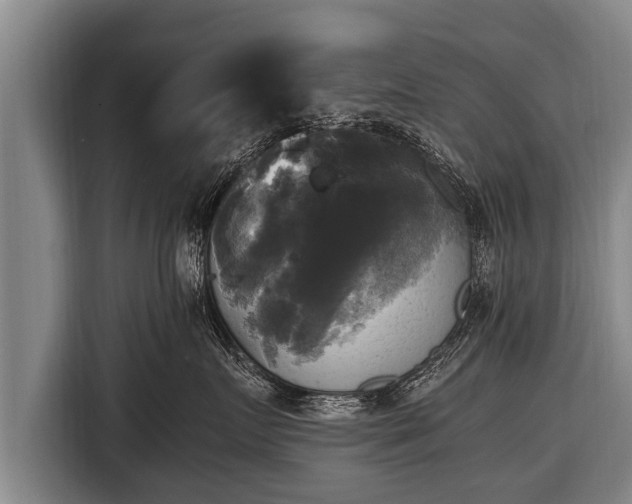 X0000116800719200912241201