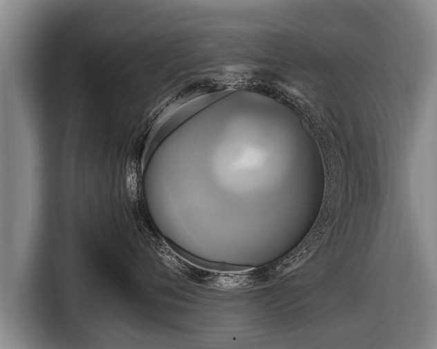 X0000116800720200912241201