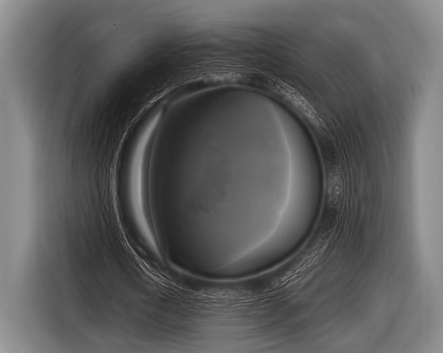 X0000116800722200912241200