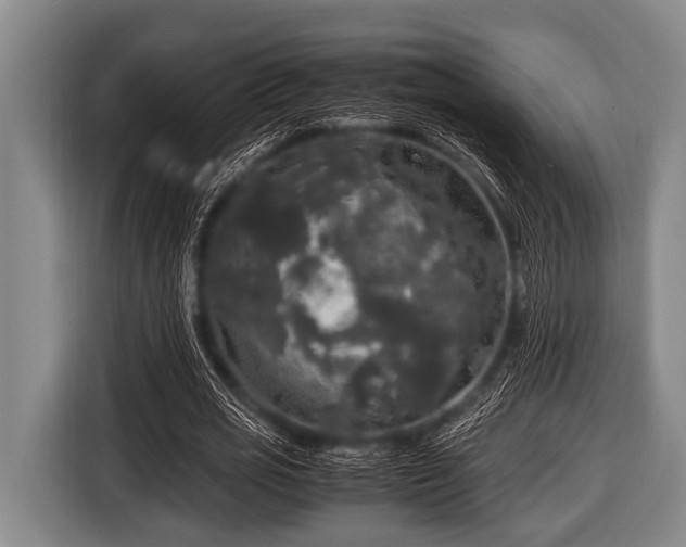 X0000116800725200912241200