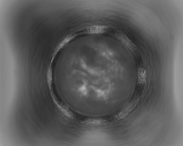 X0000116800726200912241200