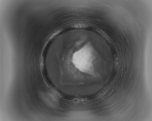 X0000116800727200912241200