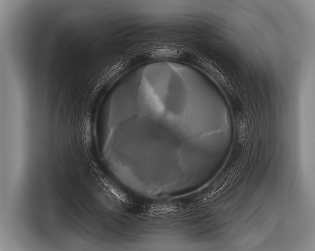 X0000116800729200912241201