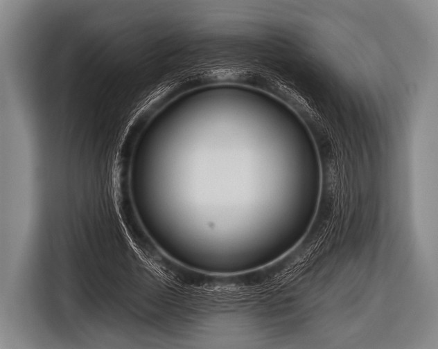 X0000116800730200912241201