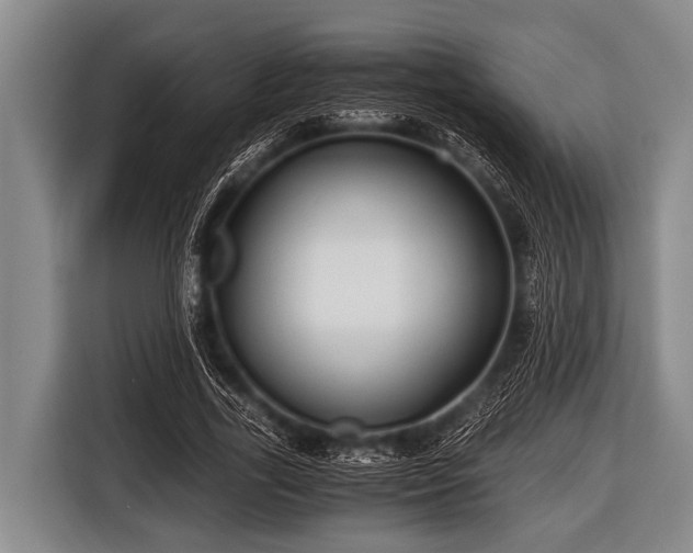 X0000116800731200912241201