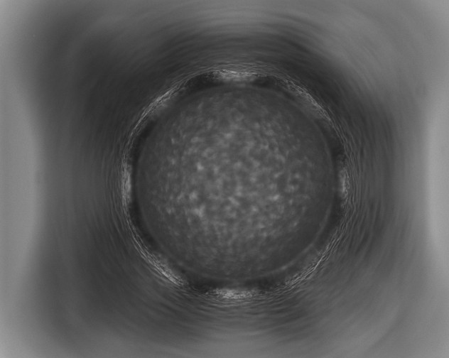 X0000116800733200912241201