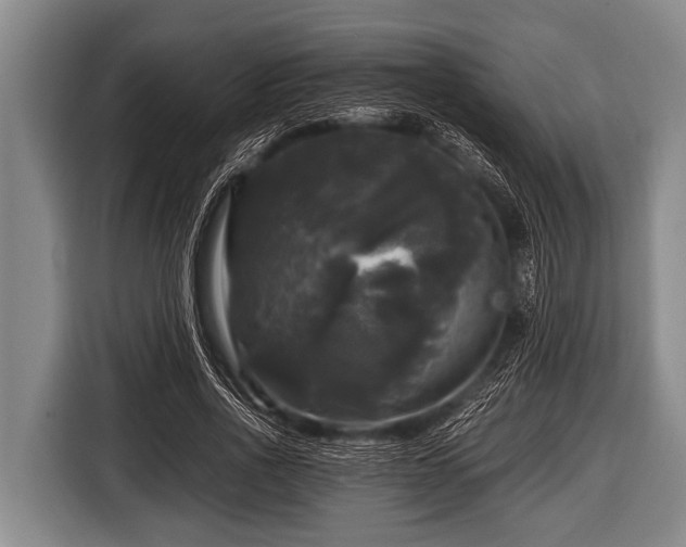 X0000116800734200912241201