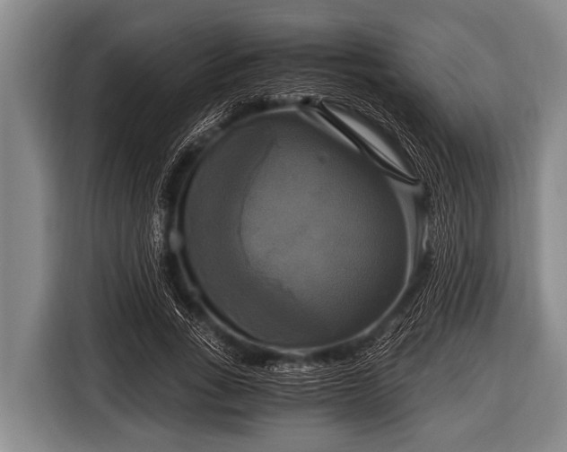 X0000116800735200912241201