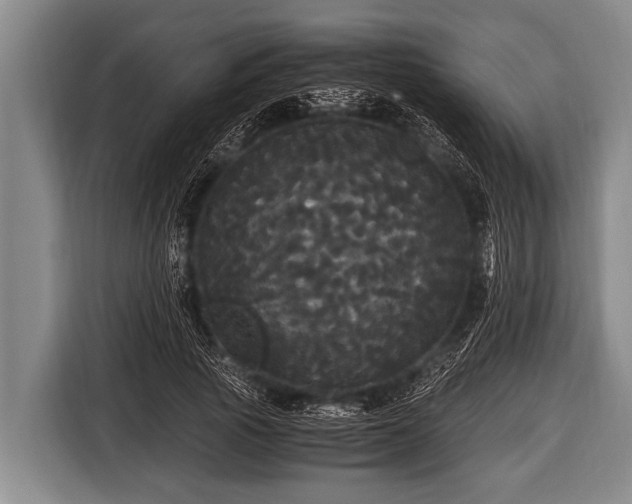 X0000116800737200912241201