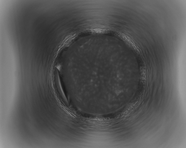 X0000116800738200912241201