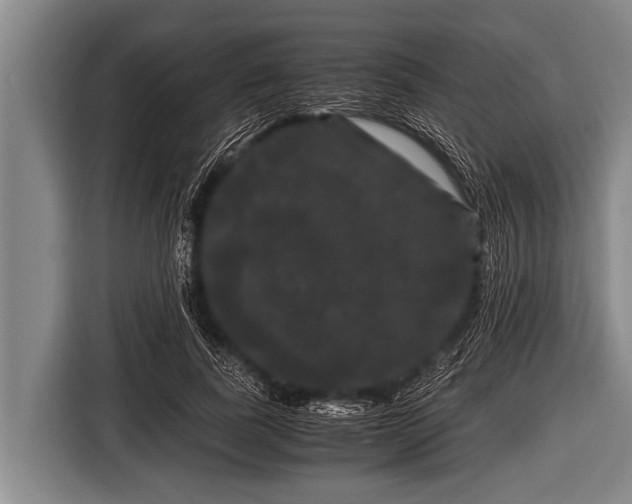 X0000116800739200912241201