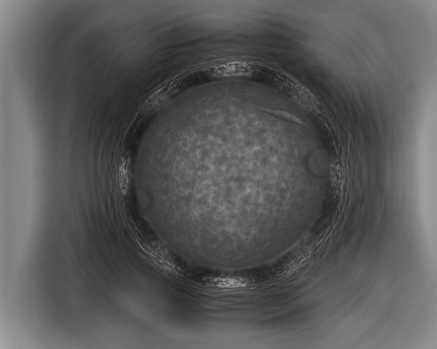 X0000116800741200912241201