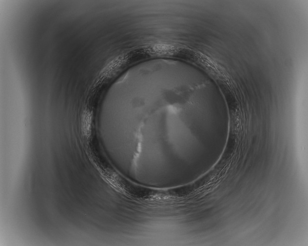 X0000116800742200912241201