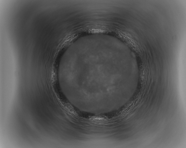 X0000116800743200912241201