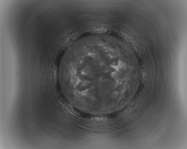 X0000116800745200912241201