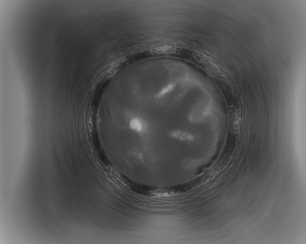 X0000116800746200912241201