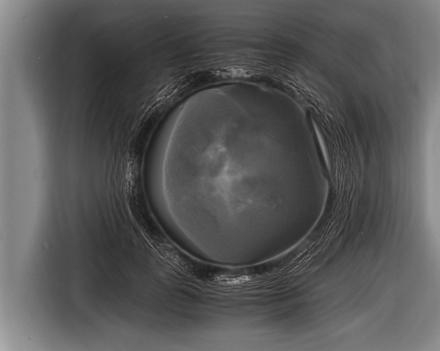 X0000116800747200912241201