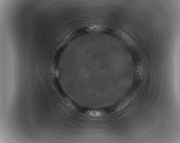 X0000116800751200912241201