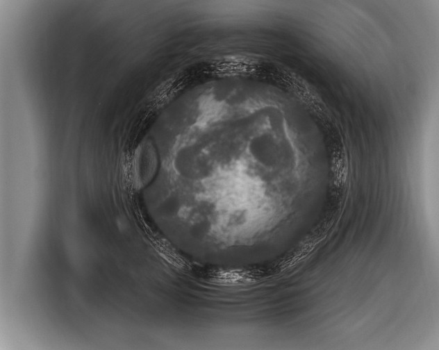 X0000116800753200912241201