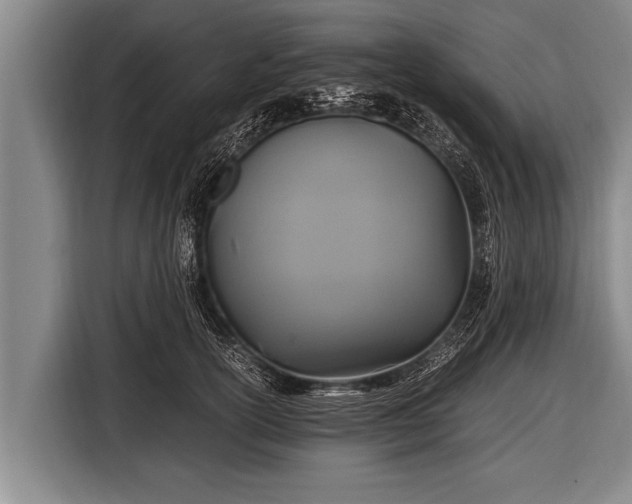 X0000116800754200912241201