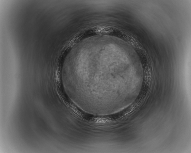 X0000116800755200912241201