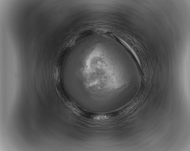 X0000116800759200912241201