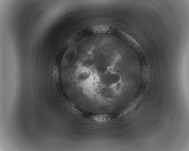 X0000116800761200912241201