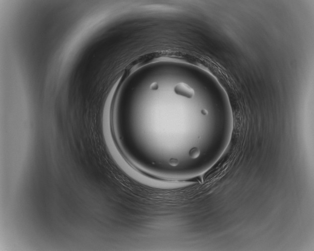 X0000116800762200912241201