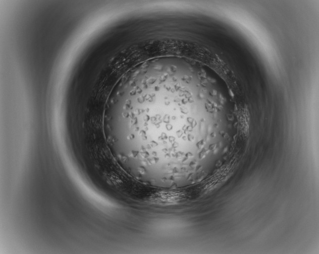 X0000116800766200912241201