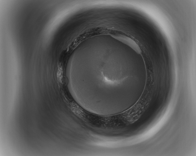 X0000116800767200912241201