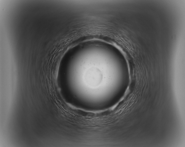 X0000116800769200912241200