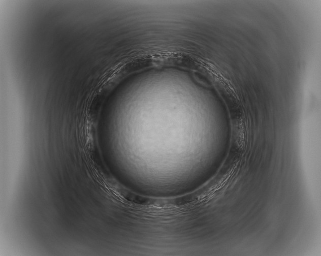 X0000116800770200912241200