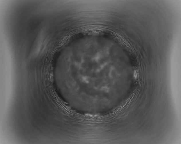 X0000116800771200912241200