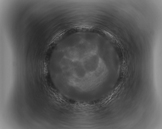 X0000116800774200912241200