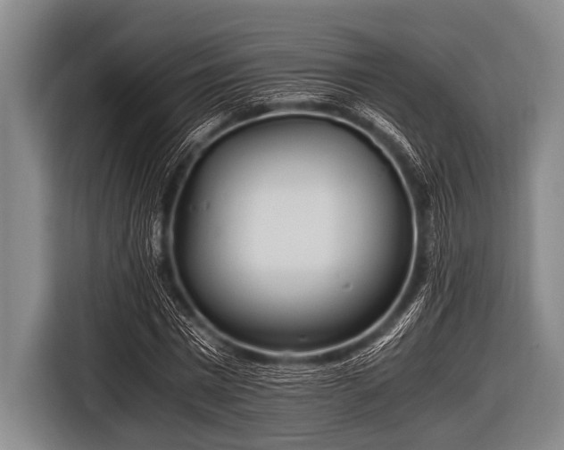 X0000116800777200912241200