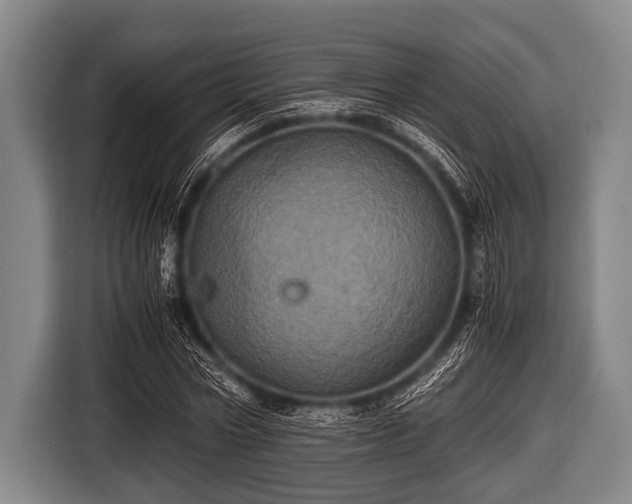 X0000116800778200912241200