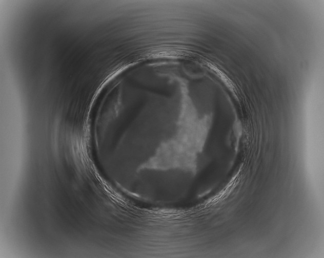 X0000116800779200912241200