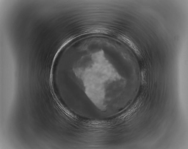 X0000116800780200912241200