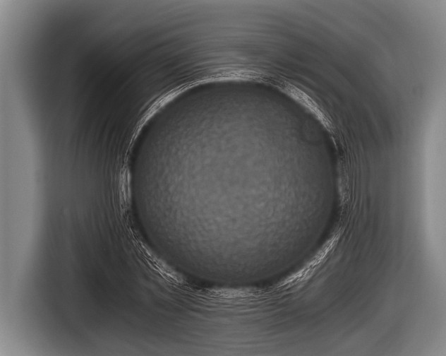 X0000116800781200912241200