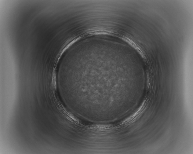 X0000116800782200912241200