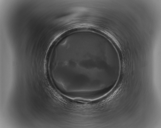 X0000116800783200912241200