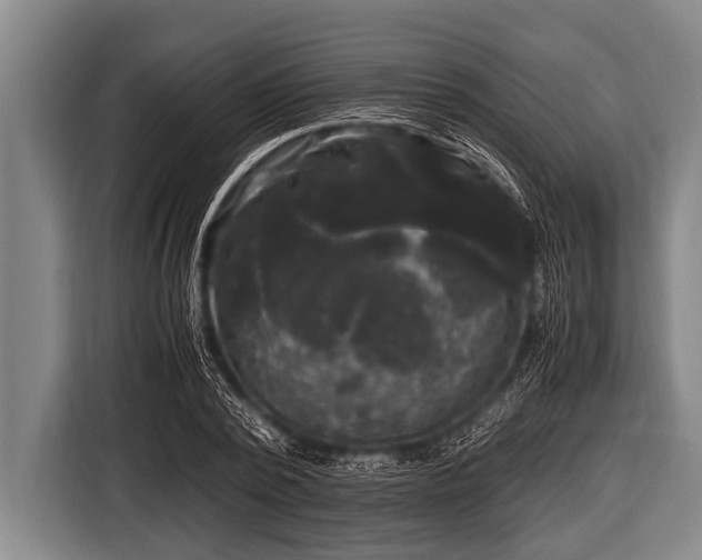 X0000116800784200912241200